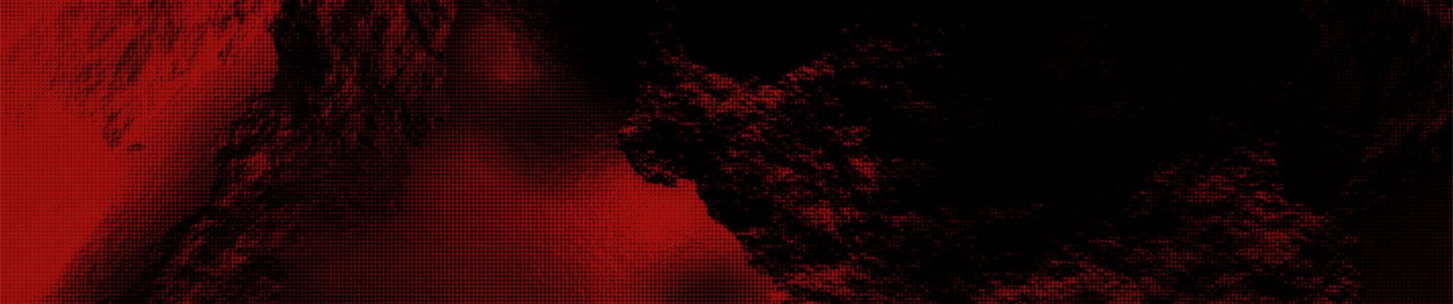 Profile banner