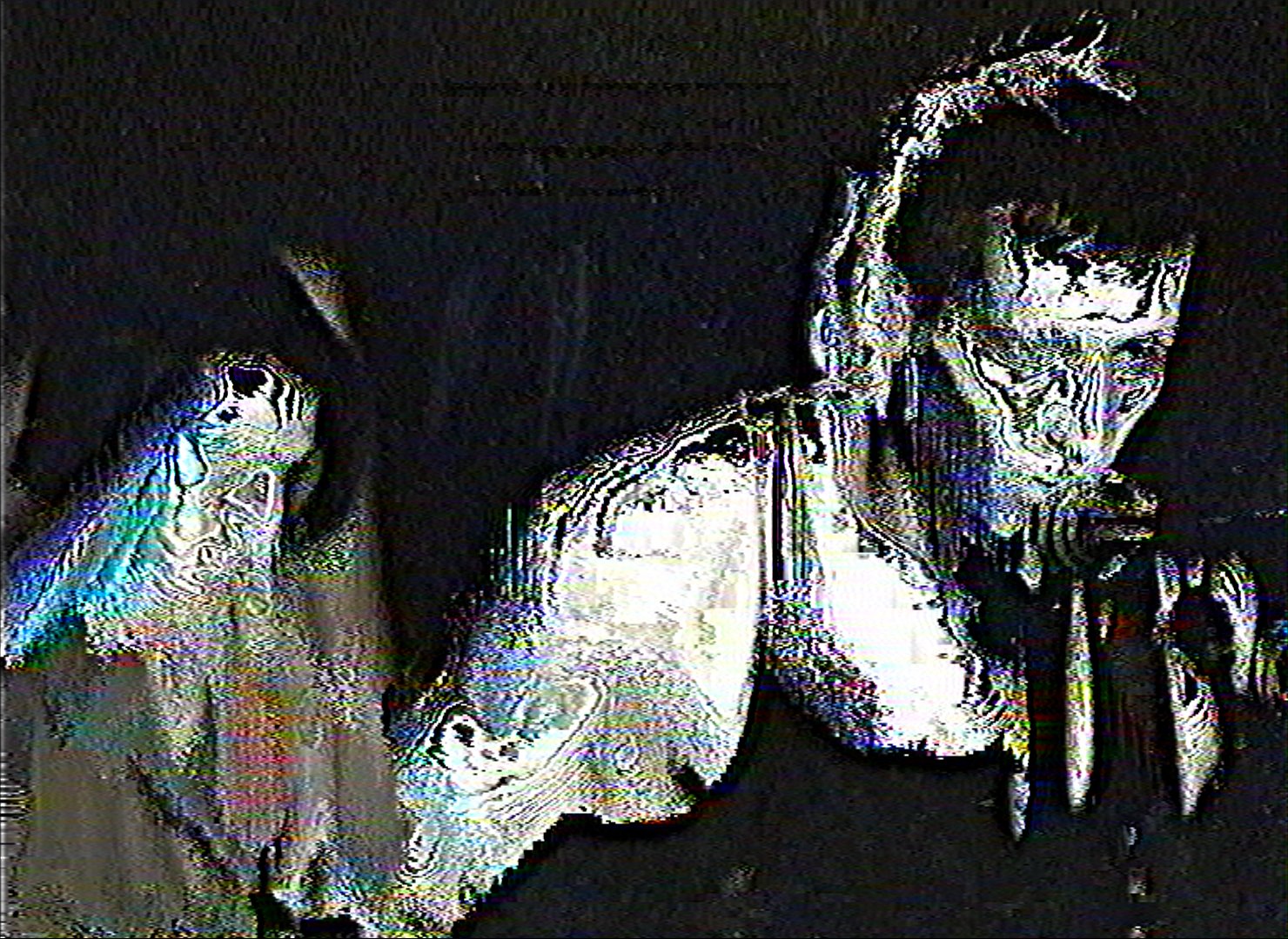 Profile banner