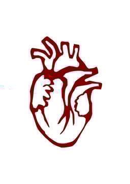 sofiasantoros's avatar