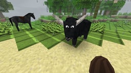 nsiai's avatar