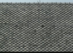 palckaccount's avatar